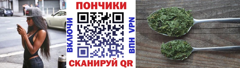 Каннабис VHQ как найти Приморско-Ахтарск
